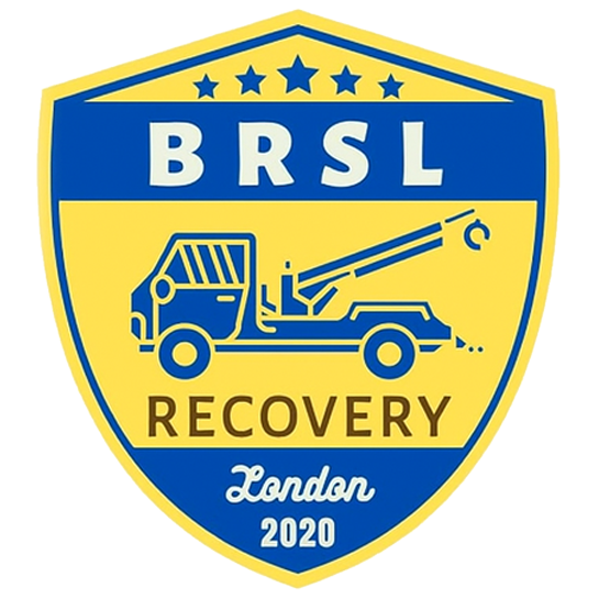 BRSL Recovery Logo